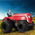 DWI Dowellin 1:10 RC Buggy Car Off-Road Trucks RC Tractors for Sale